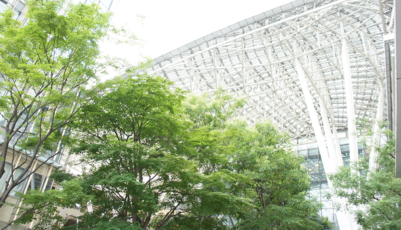 飞禽走兽金鲨银鲨上下分会员注册 まだ偽物ですか? 第 8 王子の武術を疑っていますか? 王老寺長老